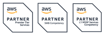 RapidScale, an AWS Premier Tier Partner